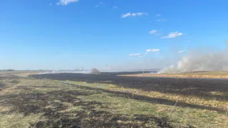 В выходные в Коми потушили три возгорания сухой травы 