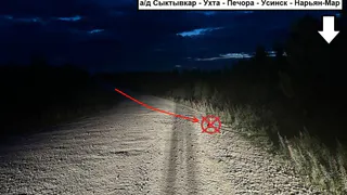 На месторождении в Коми пострадало несколько местных жителей