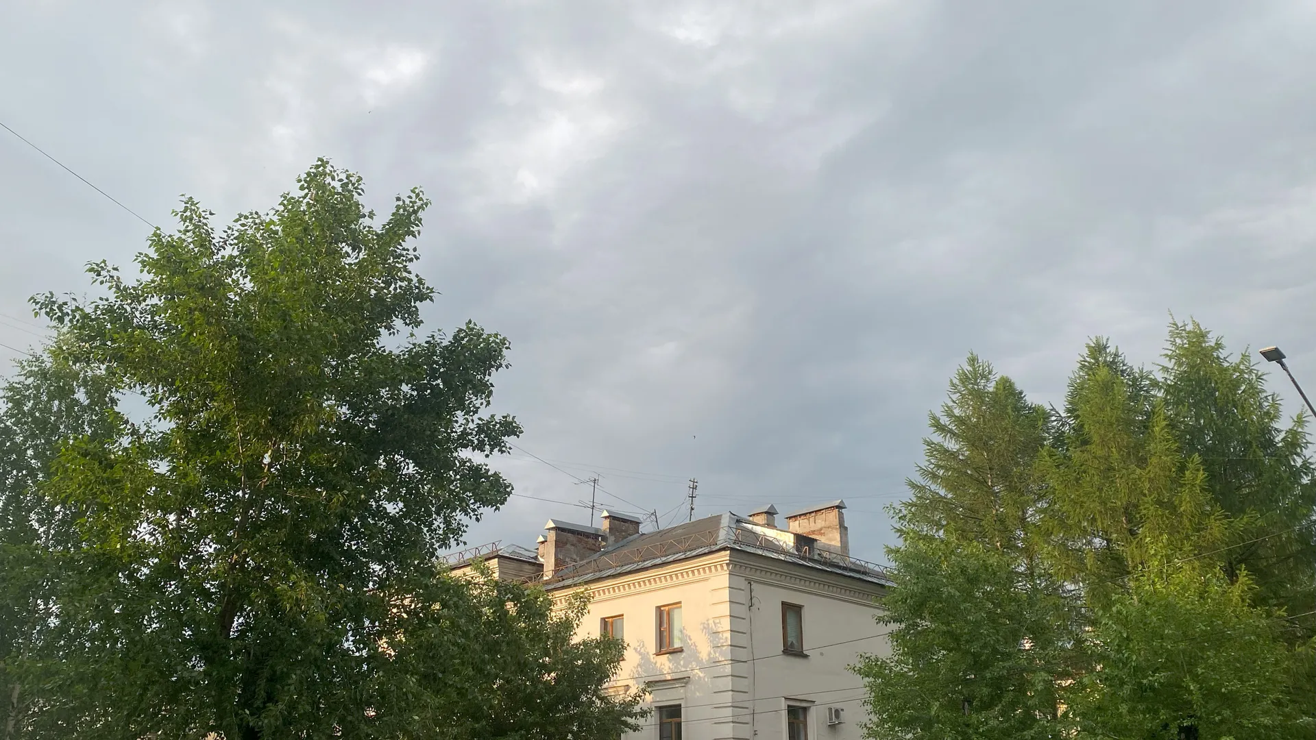 По прогнозу погоды 8 июля Коми прогреется до +25 °C, но пройдут дожди