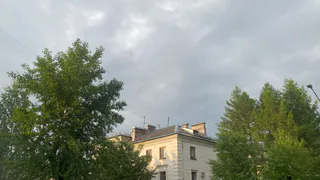 По прогнозу погоды 8 июля Коми прогреется до +25 °C, но пройдут дожди