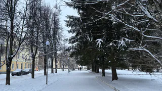 По прогнозу в Коми 9 марта после суровой ночи начинается потепление