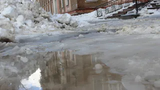 В Коми прогнозируют контрастную погоду в пятницу