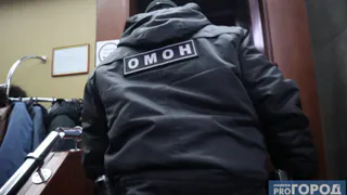 В Коми при обыске полицейские нашли оружие и коноплю