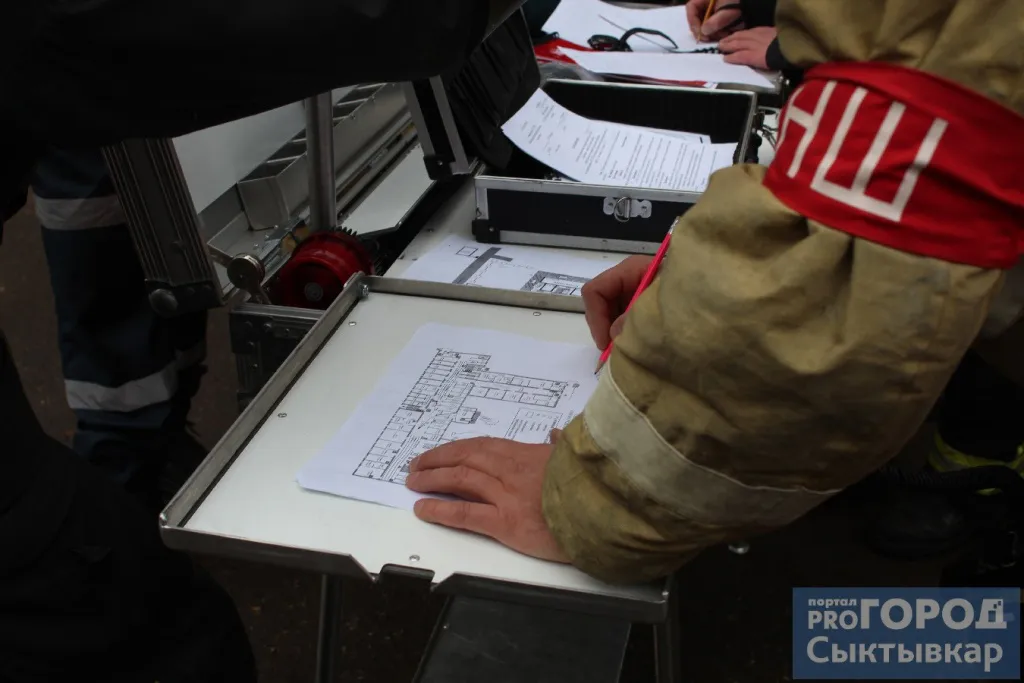 За февраль волонтеры "Лиза Алерт" в Коми нашли живыми 11 человек