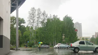 Синоптики рассказали о погоде в Коми на сегодня, 23 сентября