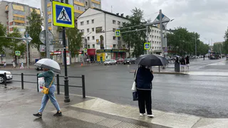 Холода ударят в майские праздники, а июль принесет аномальную жару: ученые озвучили новый прогноз до зимы 2025 года