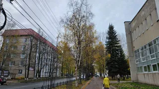 13 октября Коми ждет прохладная погода с порывистым ветром и дождем со снегом