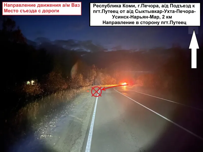 В Коми 73-летнего водителя автомобиля "Нива" притормозило дерево