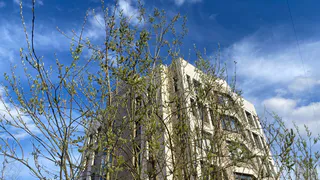 На новой неделе в Коми придет летнее тепло до +25 °C, но с дождями и грозами